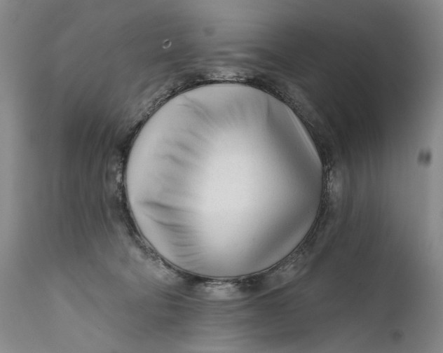 X0000111670322200908071503