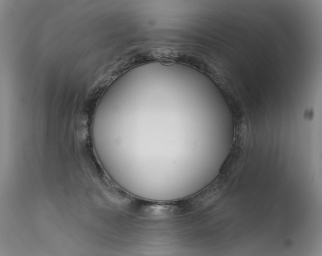 X0000111670323200908071503