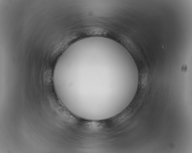 X0000111670326200908071503