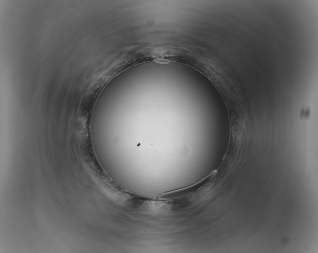 X0000111670327200908071503