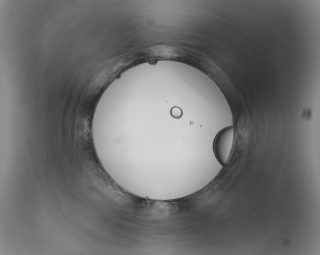 X0000111670330200908071503