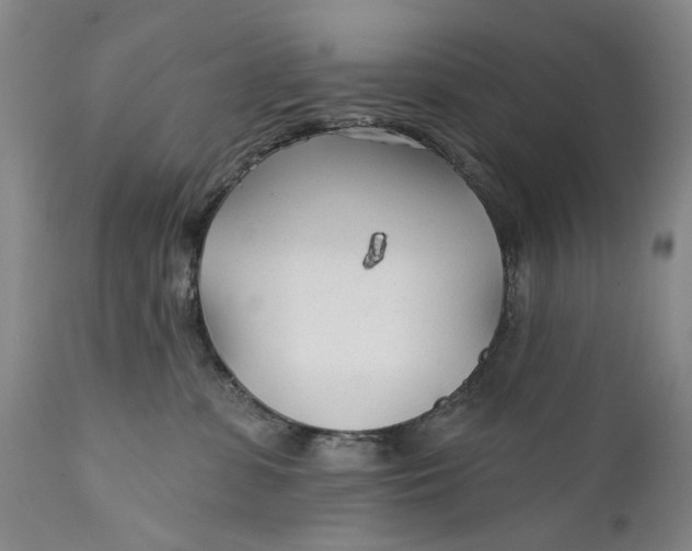 X0000111670331200908071503