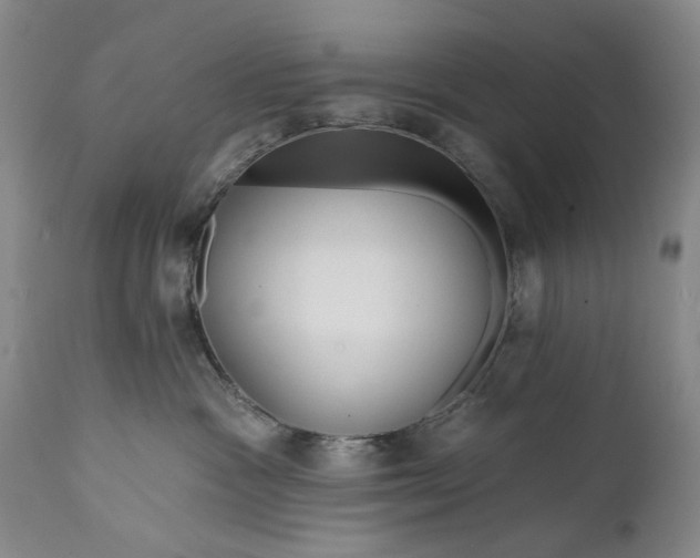 X0000111670333200908071503