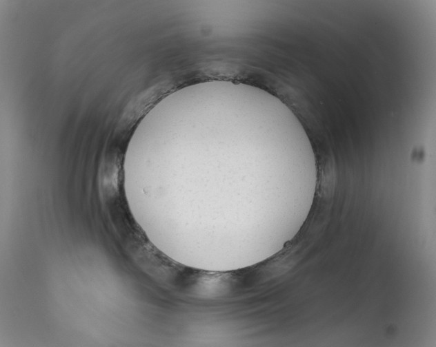 X0000111670334200908071503