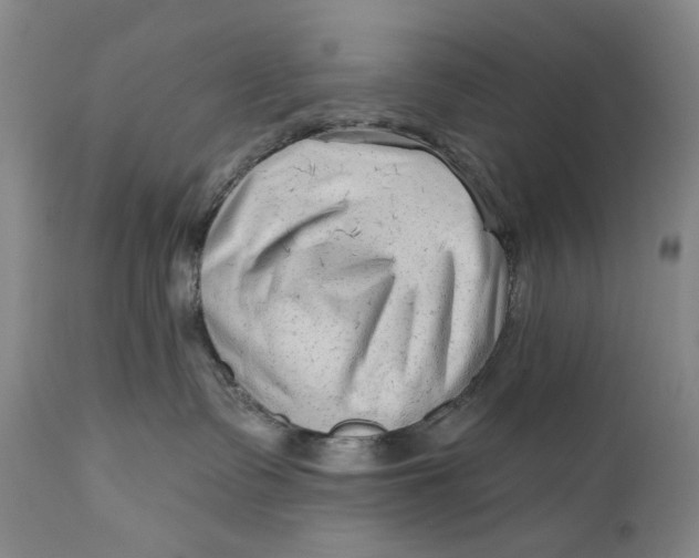 X0000111670335200908071503