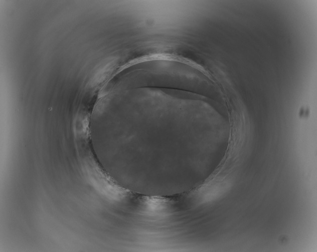 X0000111670336200908071503