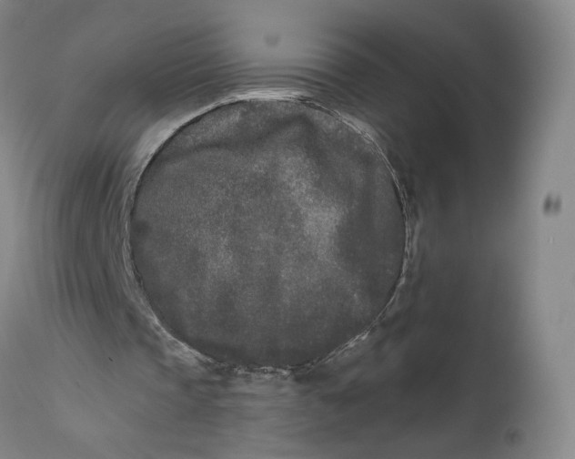 X0000111670337200908071502