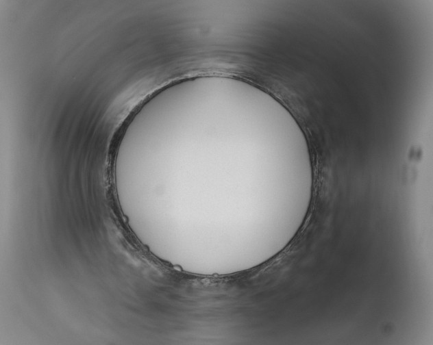 X0000111670338200908071502