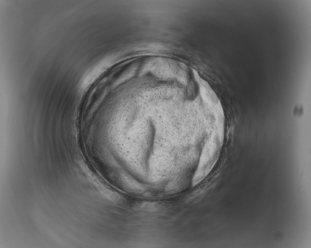 X0000111670341200908071502