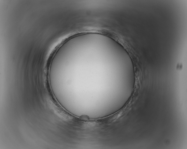 X0000111670342200908071502