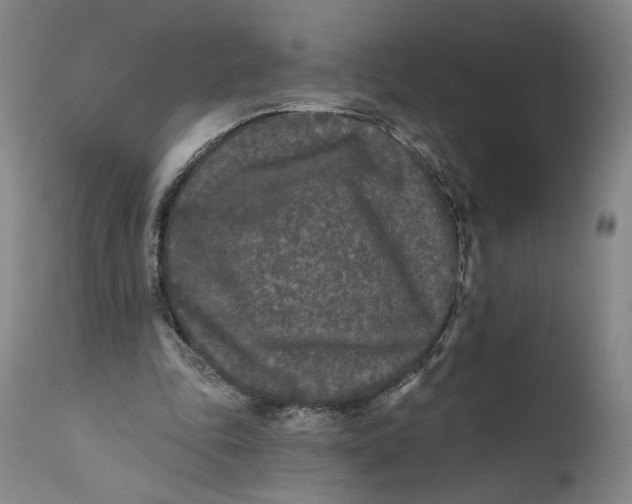 X0000111670343200908071502