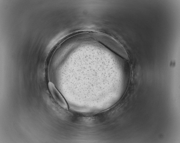 X0000111670344200908071502