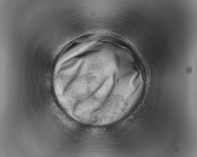 X0000111670345200908071502