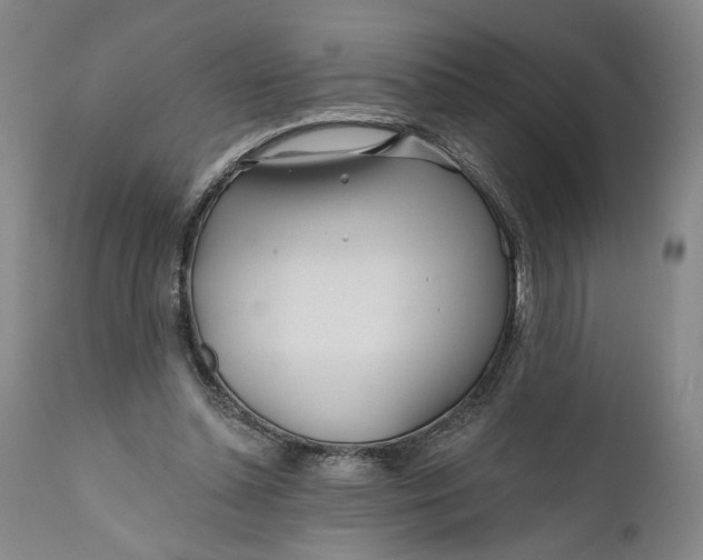 X0000111670348200908071502