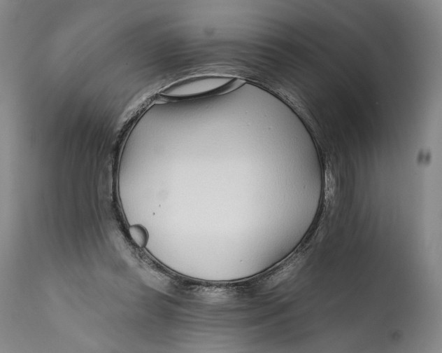 X0000111670349200908071502