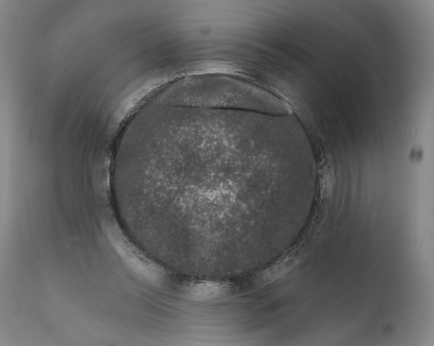 X0000111670350200908071502