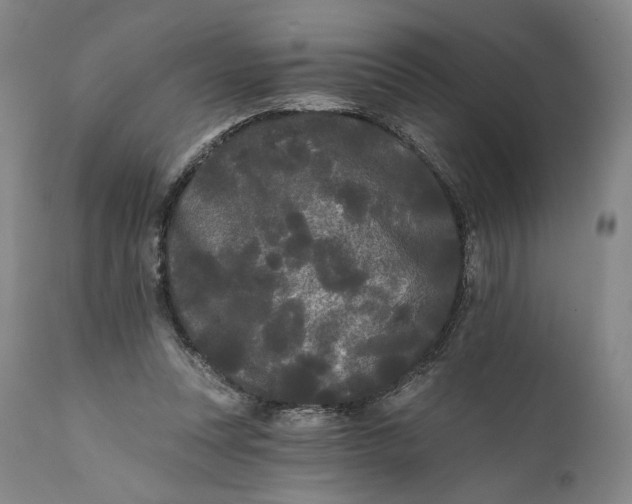 X0000111670351200908071502