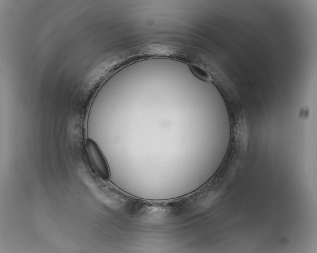 X0000111670352200908071502