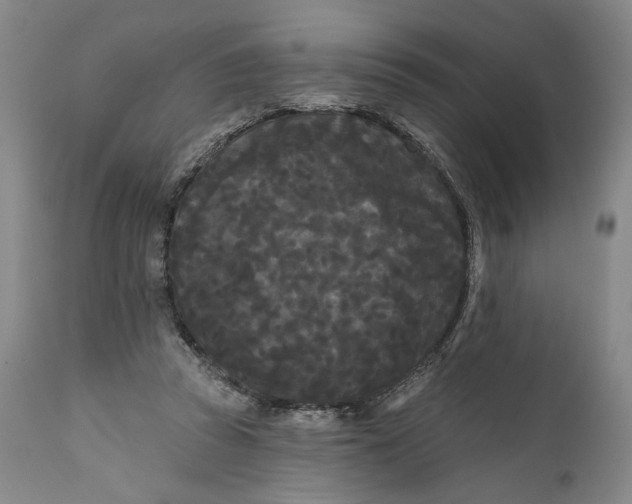 X0000111670353200908071502