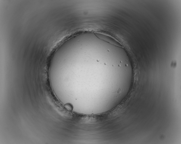 X0000111670354200908071502