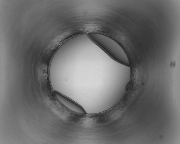 X0000111670356200908071502