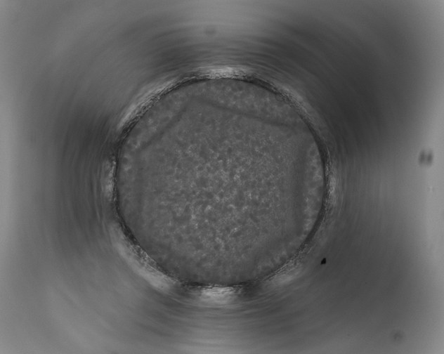 X0000111670357200908071502