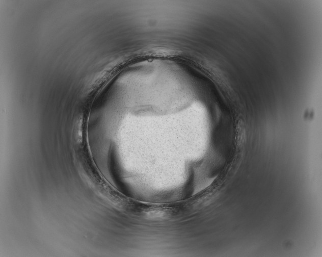 X0000111670358200908071502