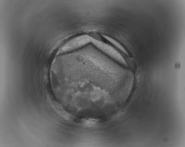 X0000111670359200908071503