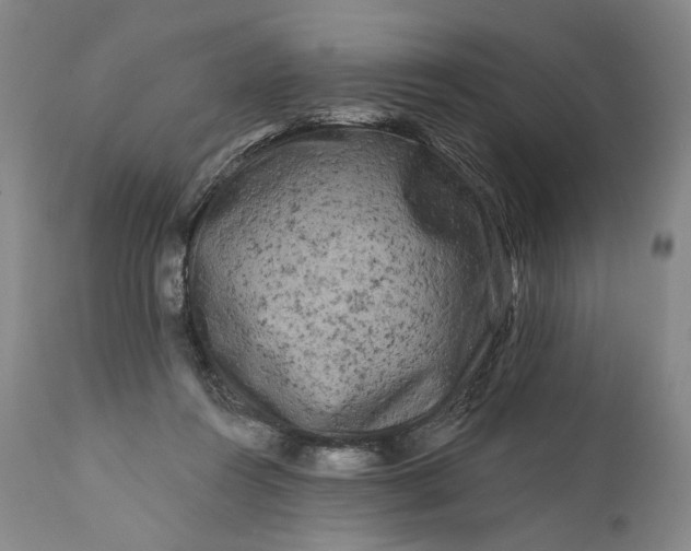 X0000111670360200908071503