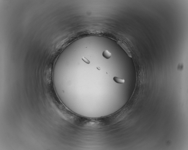 X0000111670364200908071503