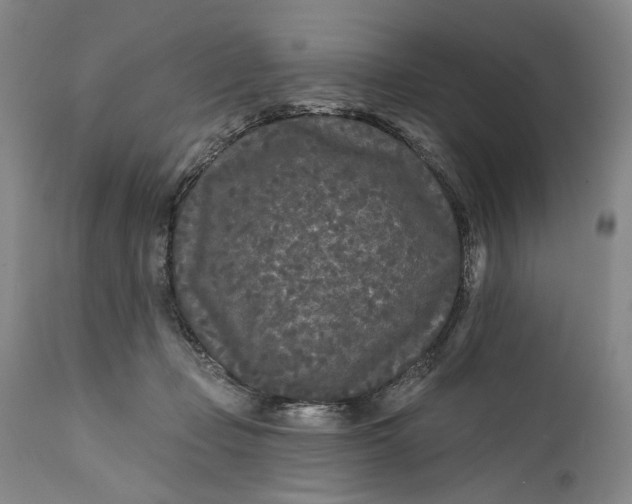 X0000111670365200908071503