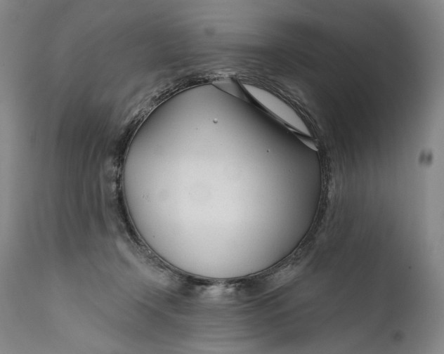 X0000111670366200908071503