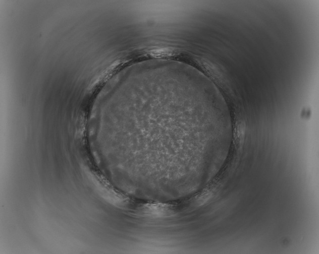 X0000111670367200908071503