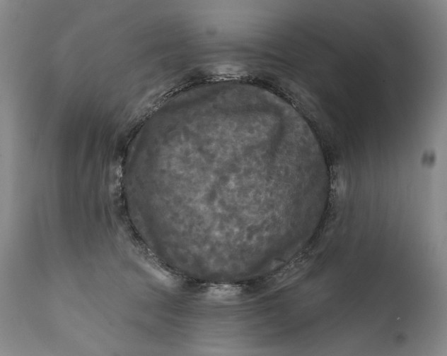 X0000111670369200908071503