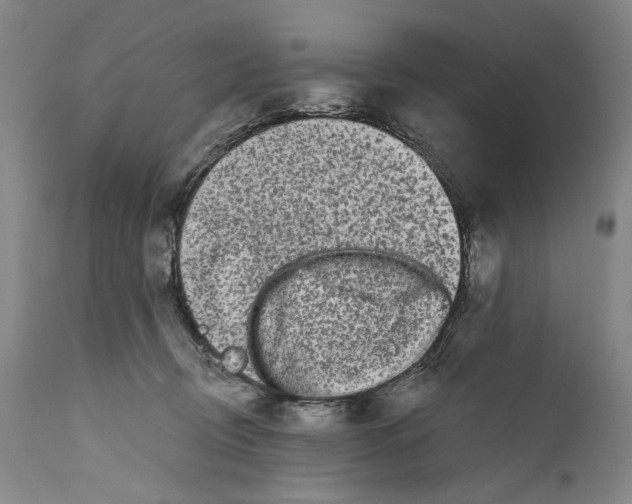 X0000111670370200908071503