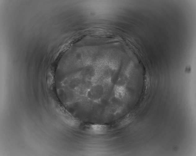 X0000111670371200908071503