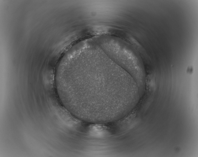 X0000111670372200908071503