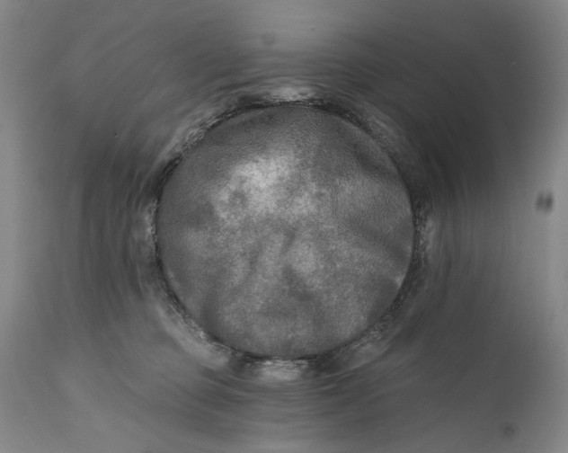 X0000111670373200908071503