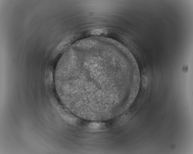 X0000111670375200908071503