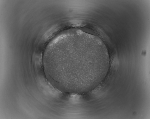 X0000111670376200908071503