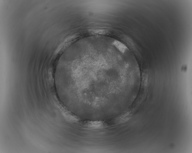 X0000111670377200908071503