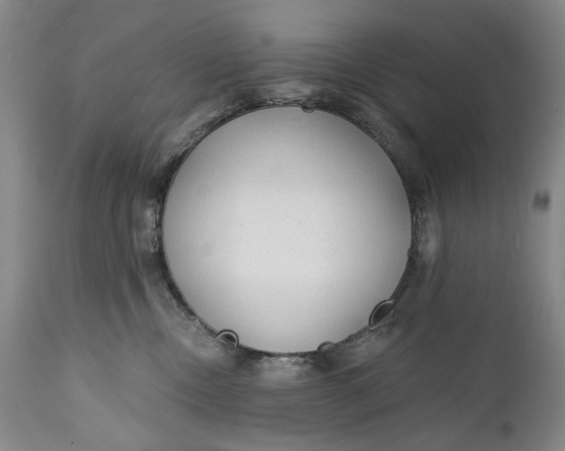 X0000111670378200908071503