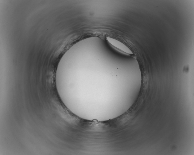 X0000111670379200908071503