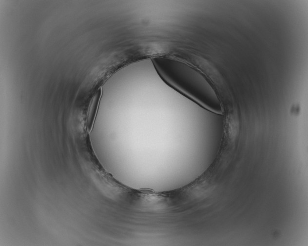 X0000111670380200908071503