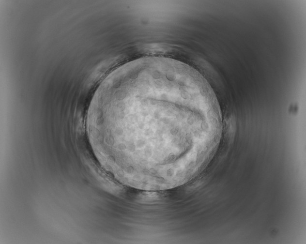 X0000111670381200908071503