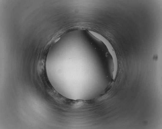 X0000111670382200908071503