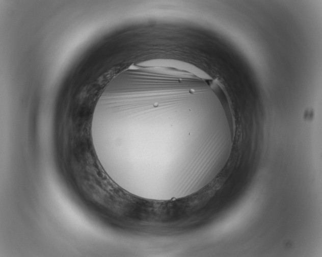 X0000111670383200908071503