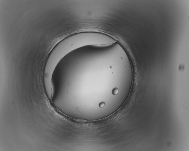 X0000111670385200908071502