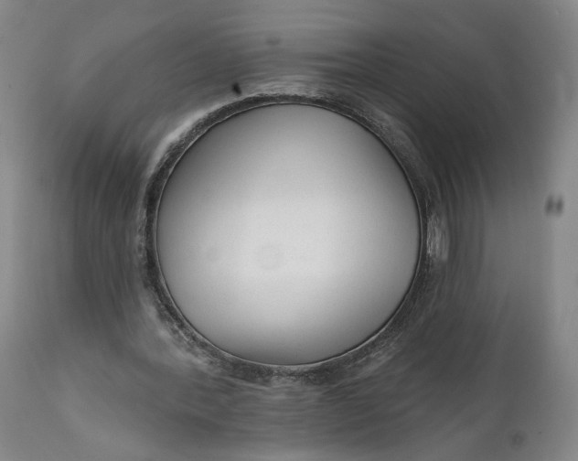 X0000111670388200908071502