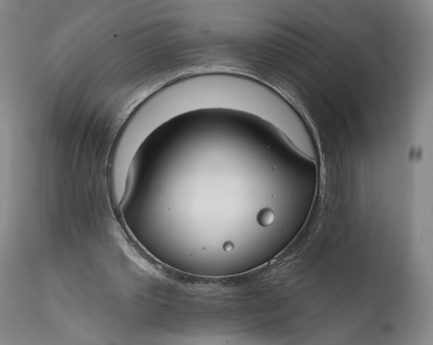 X0000111670389200908071502